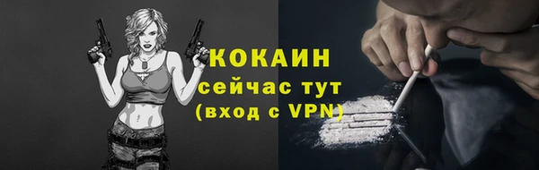 дживик Майский