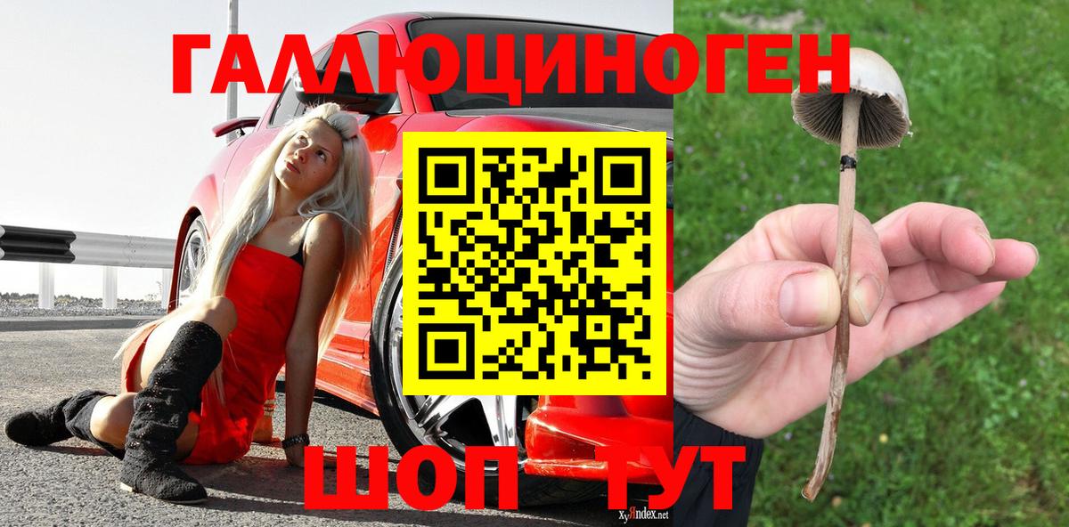 Псилоцибиновые грибы мицелий  Вход с VPN  Протвино 