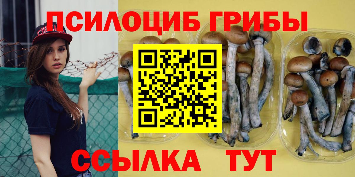Галлюциногенные грибы мухоморы Протвино